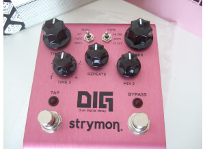 Strymon DIG (48127)