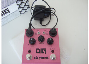 Strymon DIG (4092)
