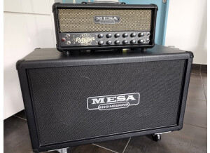 Mesa Boogie Recto-Verb 25 Head - Cream & Black (74826)