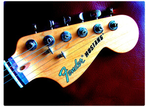 Fender American Performer Mustang (3866)