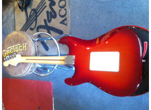 Fender Player Stratocaster Floyd Rose HSS (8884)