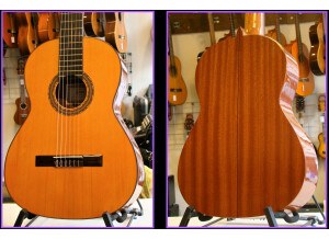 Guitare Esteve 4st....montage 1