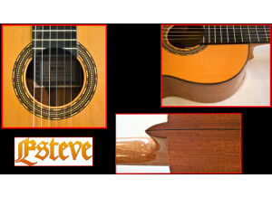 Guitare Esteve 4st....montage 3