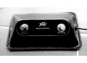 Peavey Bandit 112 (Discontinued) (1934)