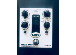 T-Rex Engineering Room-Mate (14368)