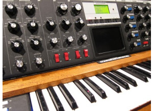 Moog Music Minimoog Voyager Performer Edition (10298)