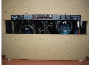 Peavey Classic 50 212