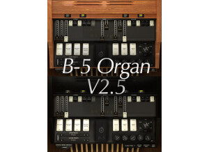 AcousticSamples B-5 Organ 2