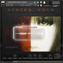 Ethera GUI Main Ethera GUI Main