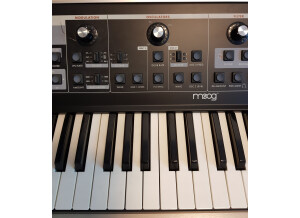 Moog Music Little Phatty Tribute Edition (20433)