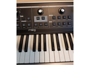 Moog Music Little Phatty Tribute Edition (87408)