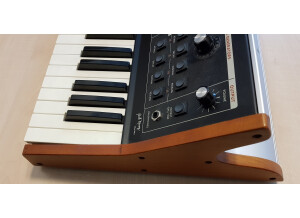 Moog Music Little Phatty Tribute Edition (64282)