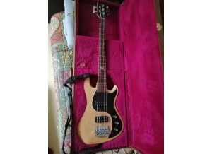 Gibson EB Bass 5 String 2014 (42141)
