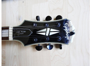 Epiphone Zakk Wylde ZV Custom (41793)