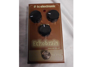 TC Electronic EchoBrain Analog Delay (97873)