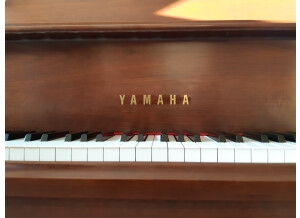 Yamaha C2