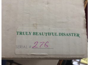 Devi Ever Truly Beautiful Disaster