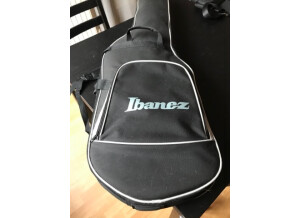 Ibanez FRM100 (9594)