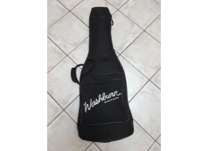Washburn WI66ANC (40988)