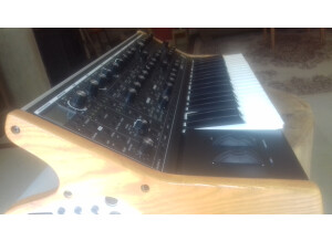 Moog Music SUB 37 (48445)