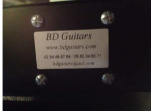 Custom Audio Electronics 3 + SE (32371)