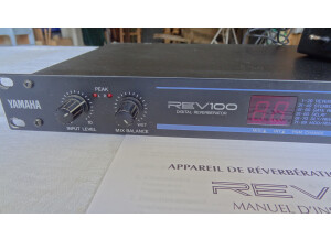 Yamaha REV100 (42160)