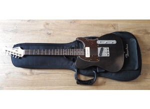 Fender American Professional Stratocaster (27310)