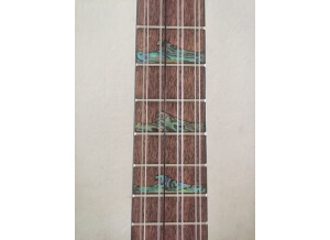 Luna Guitars High Tide Tenor 8