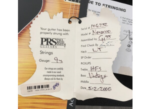 PRS Dave Navarro Model - Jet White (79999)