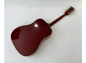 Gibson Hummingbird (773)