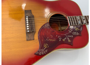 Gibson Hummingbird (2063)