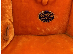 Gibson Hummingbird (90796)