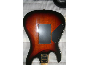 Valley Arts Guitars samick (94531)