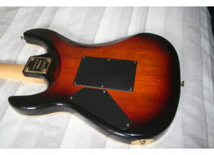 Valley Arts Guitars samick (91602)