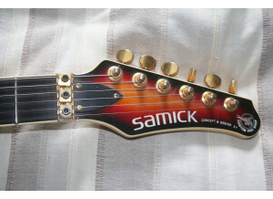Valley Arts Guitars samick (60843)
