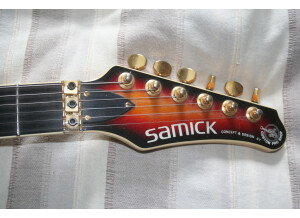 Valley Arts Guitars samick (60843)