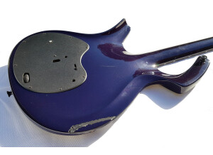 Parker Guitars Fly Deluxe (56597)