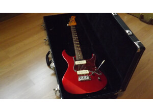 Fender Princeton 65 (9791)