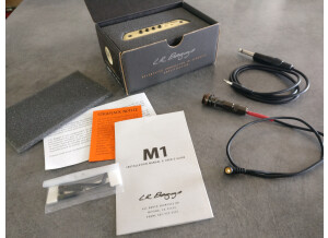 L.R. Baggs M1 (25235)