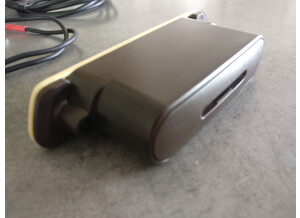 L.R. Baggs M1 (42775)