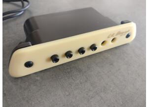 L.R. Baggs M1 (69840)