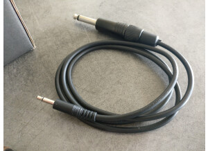 L.R. Baggs M1 (48298)