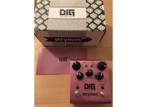 Strymon DIG (98667)
