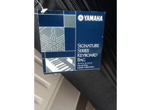 Yamaha MOTIF 6 (62191)