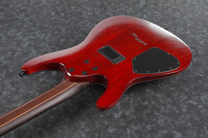 p_region_S61AL_BML_1P_01_sub_2 p_region_S61AL_BML_1P_01_sub_2