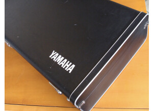Yamaha SK10 (5954)