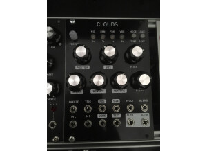 Mutable Instruments Clouds (65889)
