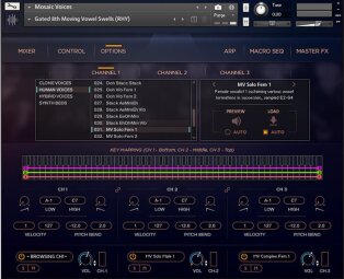 Heavyocity Mosaic Voices : Mosaic-Voices_Options Heavyocity Mosaic Voices : Mosaic-Voices_Options