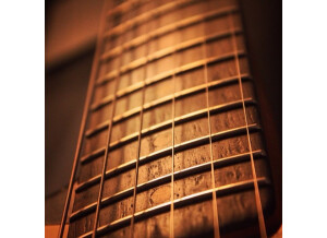Fender Stratocaster [1959-1964] (73831)