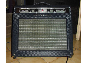 Ampeg J-20